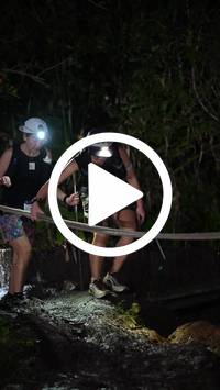 BIB:  <button type="button" onclick="openModal(27709395)" class="btn btn-primary btn-sm float-right" data-toggle="modal" data-target=".modal-high-quality">
                <i class="fa fa-download"></i> Download
                </button>